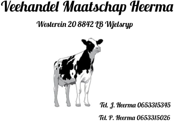 Melkveebedrijf & veehandel mts W en P Heerma