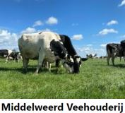 Middelweerd Veehouderij